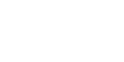 Turbo XS Standard Boost Controller - My Store