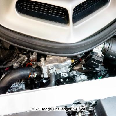 Serpentine Belt - 2012-2023 Dodge Challenger/Charger V8 2081mm 6 Rib Pacific Performance Engineering