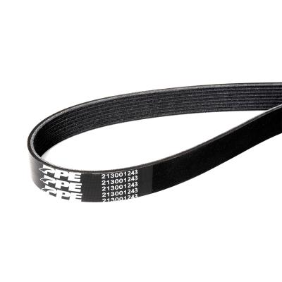 Serpentine Belt - 2013-2018 Ram 6.7L Single Alternator and A/C 3157mm 8 Rib Pacific Performance Engineering