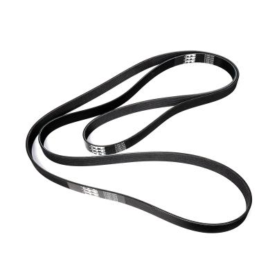 Serpentine Belt - 2003-2012 Ram 5.9L/6.7L Single Alt - Stock Length Belt 3227mm 8 Rib Pacific Performance Engineering