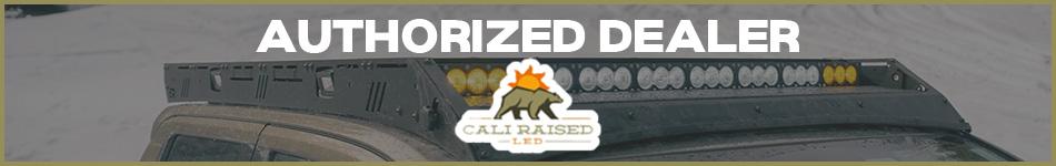 Cali Raised LED