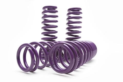 PRO Lowering Springs 06-13 Lexus IS250 06-13 Lexus IS350 RWD D2 Racing