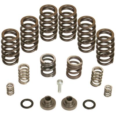 P7100 Governor Spring Kit 4000rpm Dodge RAM 2500/3500 1994-1998 5.9L 12-Valve Engine BD Diesel