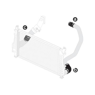LBZ/LMM 06-10 Silicone Hose And Clamp Kit Black PPE Diesel