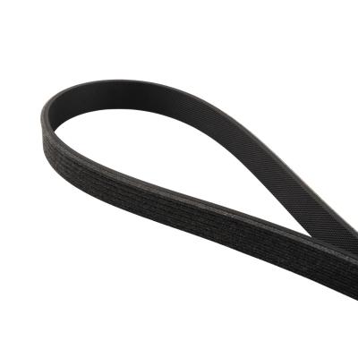 Serpentine Belt - 2011-2023 Ford 5.0/5.2L Mustang 6 Rib A/C Belt 6PK851 Pacific Performance Engineering