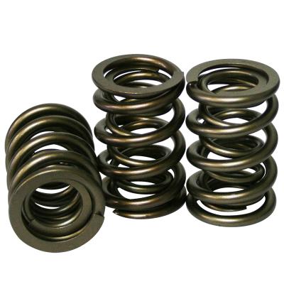 Pro - Alloy Mechanical Roller Dual Valve Springs; 1.550 Howards Cams 98643