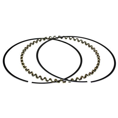 True Seal Piston Oil Ring; 4.000 3/16 Howards Cams HRC4860-4000-5-O