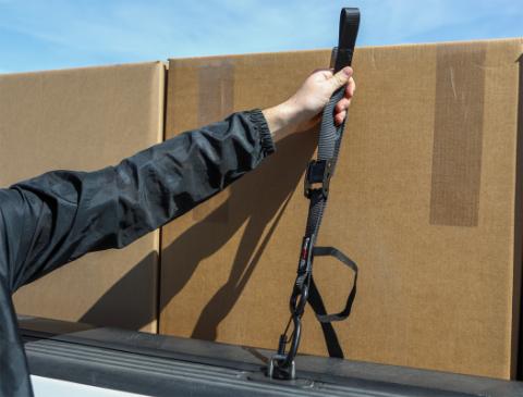 1 Inch x 8' Cam-Lock Tie Down with Soft-Tie 2 Pack Bullring