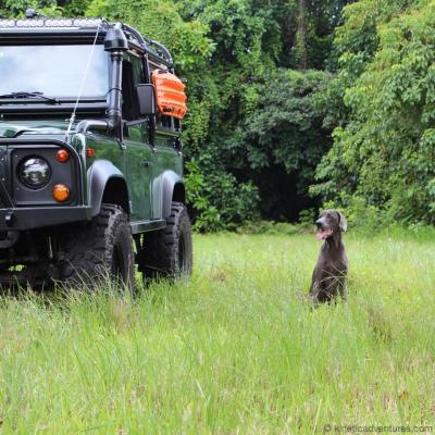 Super Swamper SSR 37x12.50R20LT Offroad Tires Interco Tire