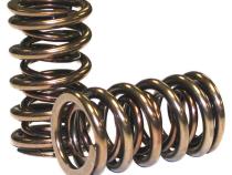 GM Gen III Dual Valve Springs; 1.305 Howards Cams 98116