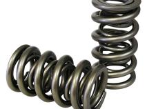 Pacaloy Dual Valve Springs; 1.260 Howards Cams 98223