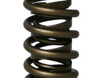 Stock Diameter Performance Dual with Damper Valve Springs; 1.437 Howards Cams 98432