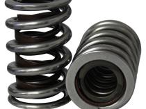 Electro Polished Pro - Alloy Dual with Damper Valve Springs; 1.540 Howards Cams 98637