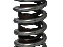 Electro Polished Pro - Alloy Dual with Damper Valve Springs; 1.540 Howards Cams 98637