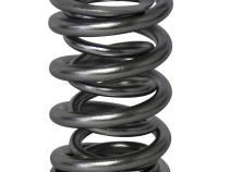 Electro Polished Pro - Alloy Dual Valve Springs; 1.550 Howards Cams 98644