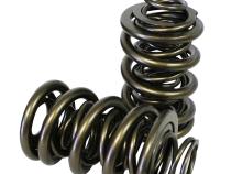Pacaloy Triple Valve Springs; 1.645 Howards Cams 98846