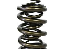 Pacaloy Triple Valve Springs; 1.645 Howards Cams 98846