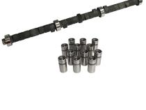 Hydraulic Flat Tappet Street Force 1 Camshaft &amp;amp; Lifter Kit; 1964 - 1995 American Motors 4.0L 1000 to 4400 Howards Cams CL320111-12