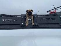 Thorax Bed Rack System-Fits Diamond Back Covers 12 Inch Rack Height 2015-2020 Chevrolet Colorado/GMC Canyon Chassis Unlimited