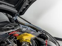 Carbon Fiber Wrapped Hood Struts 17-21 Honda Civic Type R OLM Outside Line Motoring